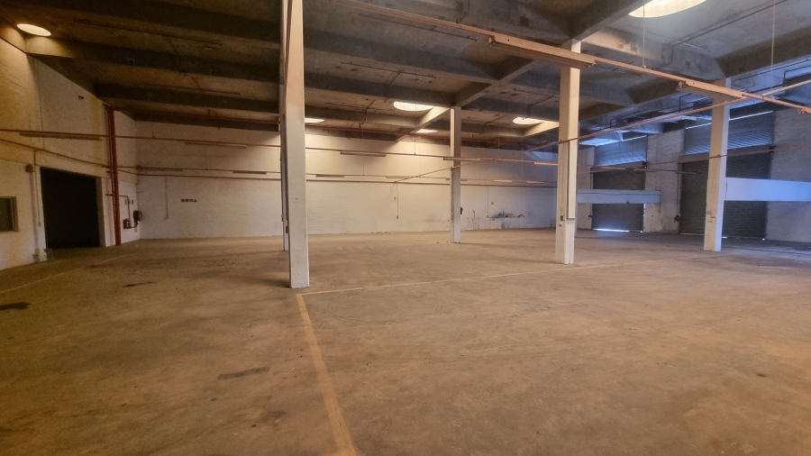 To Let commercial Property for Rent in Bellville South Western Cape